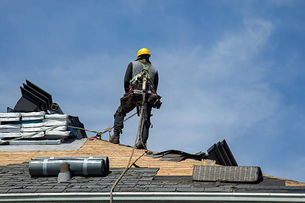Professional Gutter Installation technician working in Dry Branch, GA